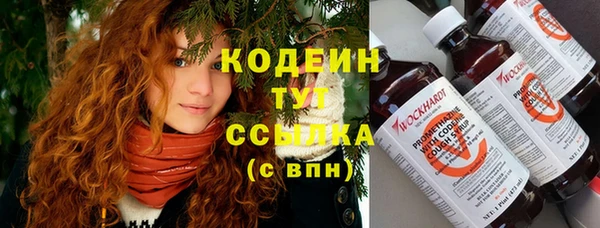 индика Абдулино