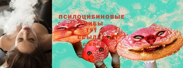 индика Абдулино