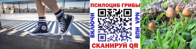 купить наркотики сайты  кракен сайт  Галлюциногенные грибы GOLDEN TEACHER  Дубовка 